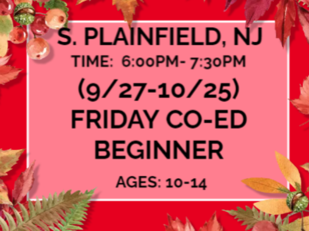 Picture of (SP): FRI BEGINNER (9/27-10/25) 6:00PM- 7:30PM (APF)