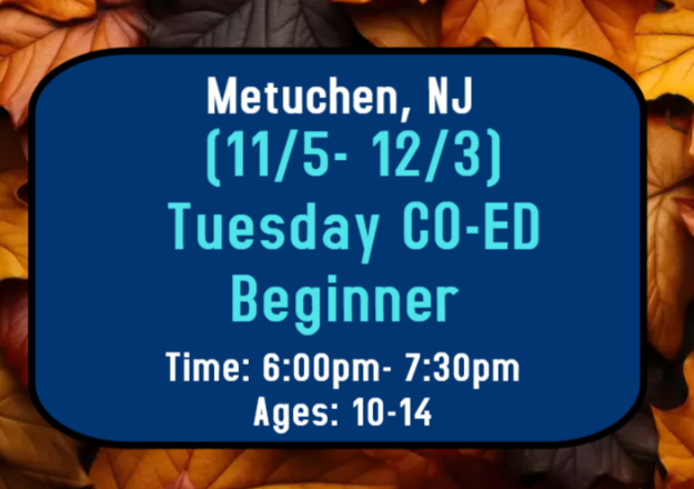 Picture of (11/5-12/3) TUES BEGINNER (MET)